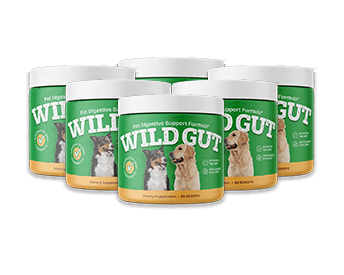 Product Image of 6 Bottles